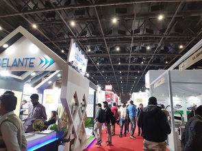 新天会展 连接世界舞台，成就卓越商机